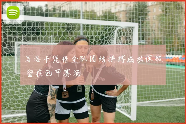 马洛卡凭借全队团结拼搏成功保级 留在西甲赛场