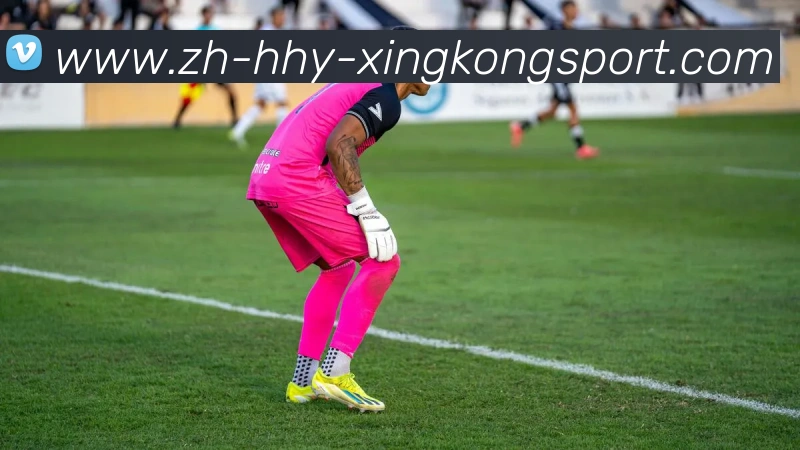 星空体育服务体系